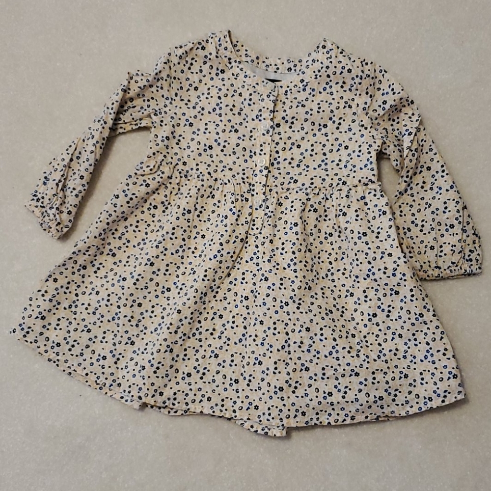 Baby GAP Yellow Blue Fall Flower Long Sleeve Dress